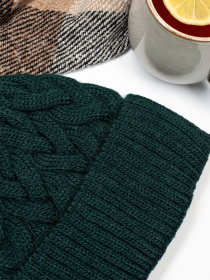 Шапка ISSA Plus модель SH-16_green Фото