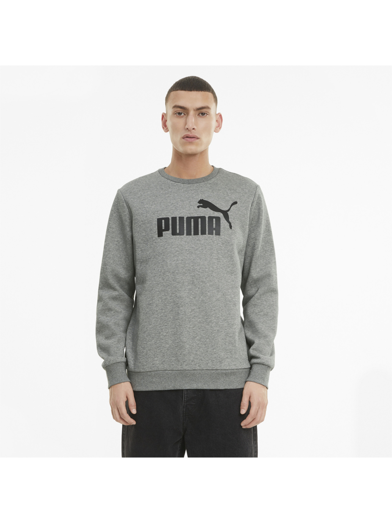 Світшот PUMA Ess Big Logo Crew модель 586678 Фото