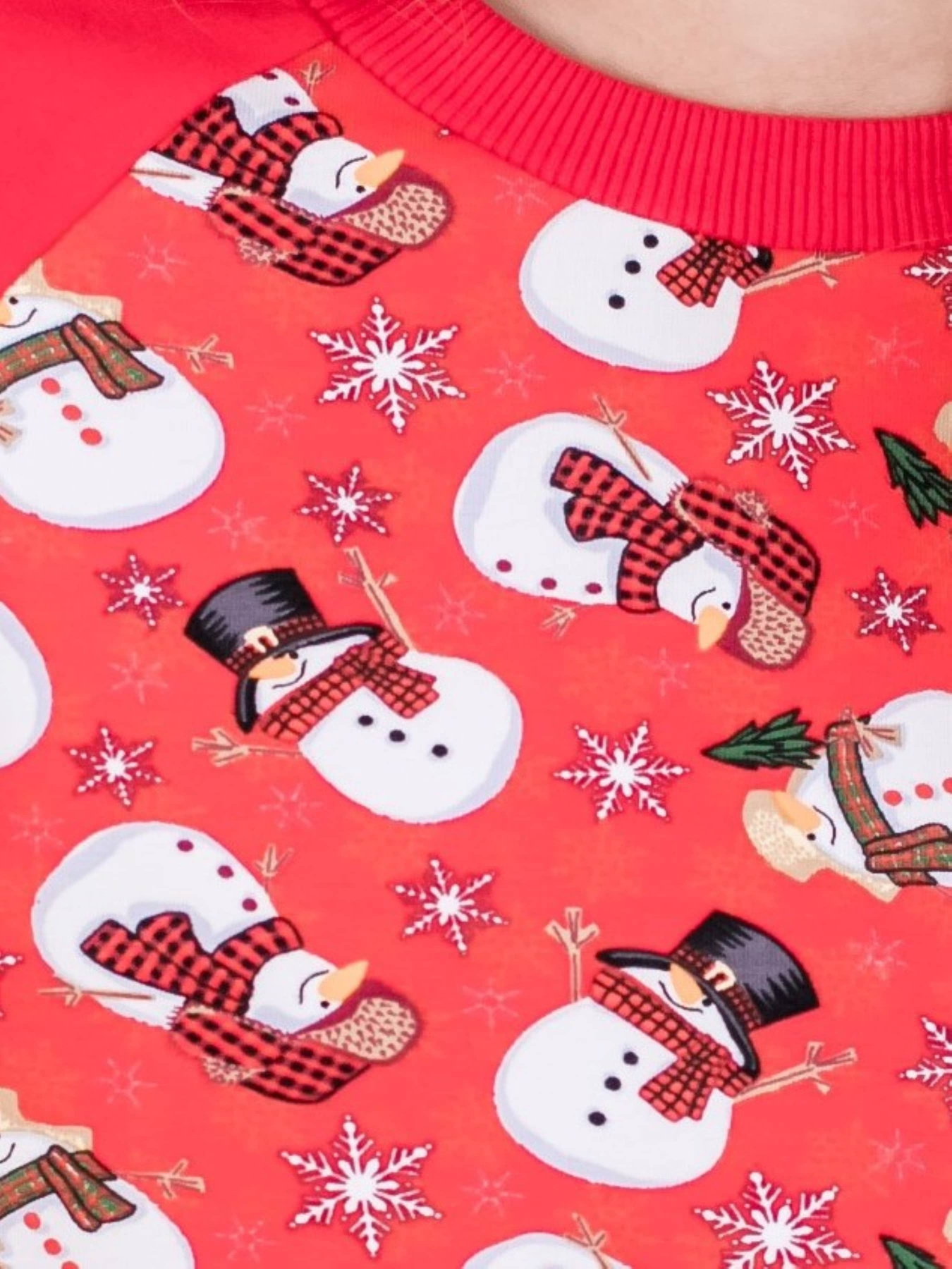 Світшот BIGU модель 11130205 Фото