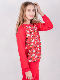 Світшот BIGU модель 11130205 Фото