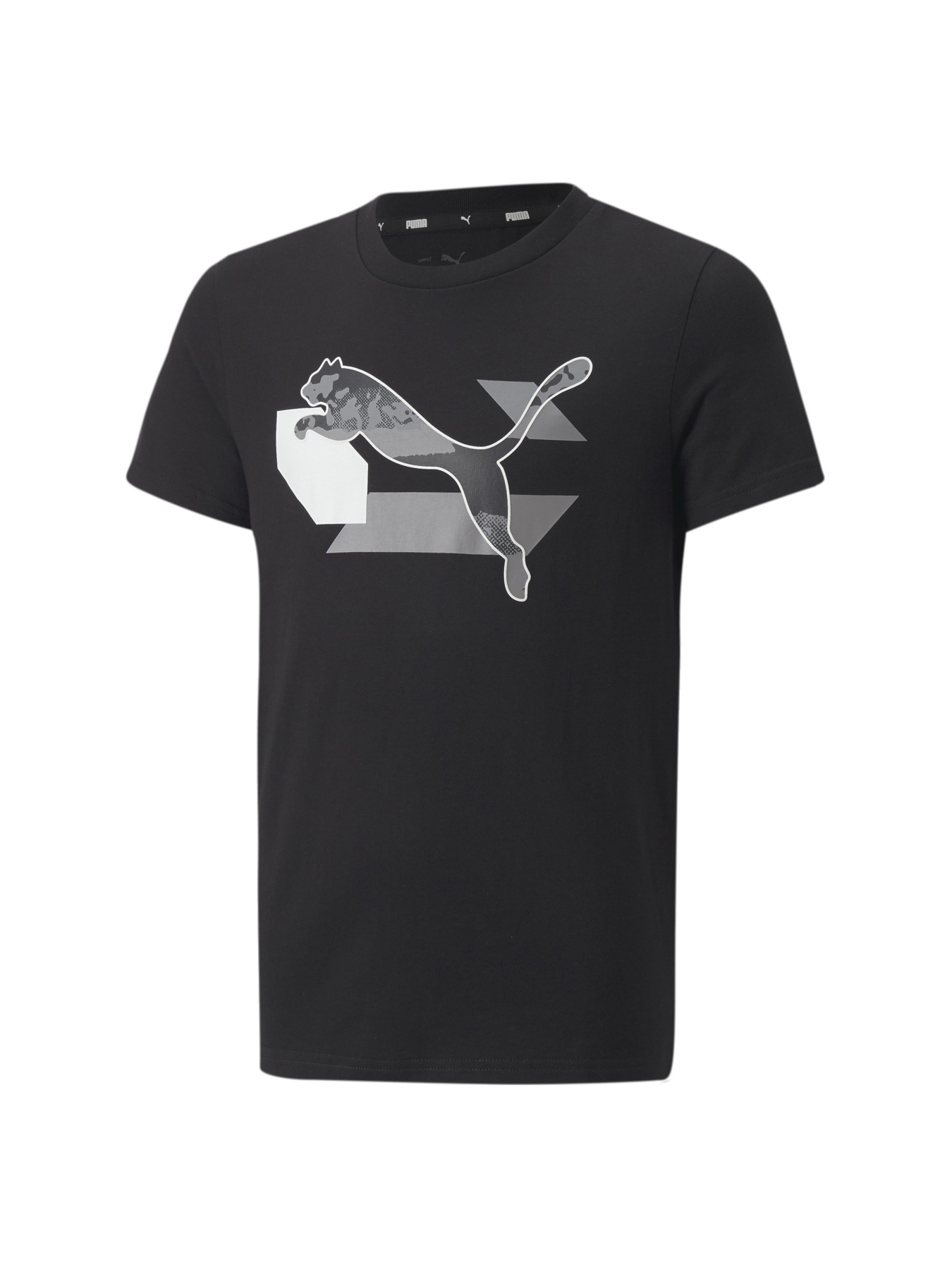 Футболка PUMA Alpha Graphic Tee модель 670101 Фото