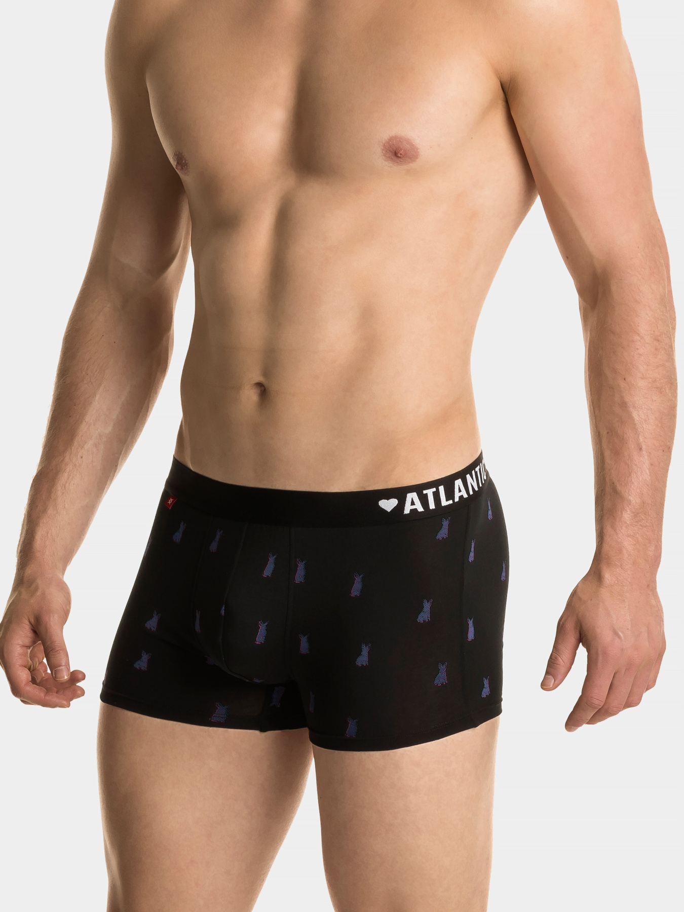 Набор трусов Atlantic модель 2GMH-014 Фото