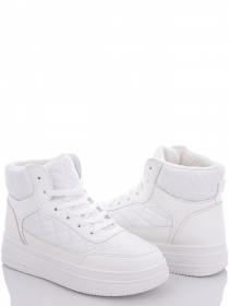 Черевики Caroc модель MBB05-2 Черевики Caroc модель MBB05-2 Фото