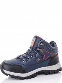 Ботинки Caroc модель B8968-4 Фото