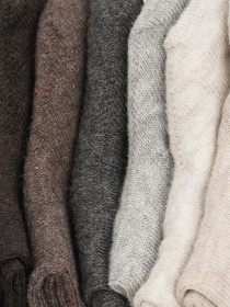 Набір шкарпеток C&A модель 55362 Фото