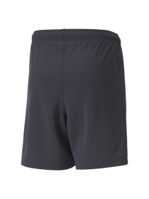 Спортивні шорти PUMA модель 657539 Фото