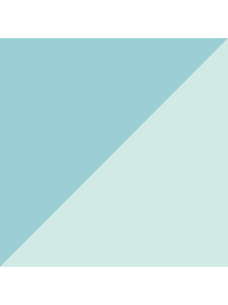 Щитки PUMA ULTRA Light Strap модель 030834 Фото