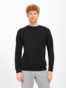 Свитшот Роза модель 210542_2 Свитшот Роза модель 210542_2 Фото