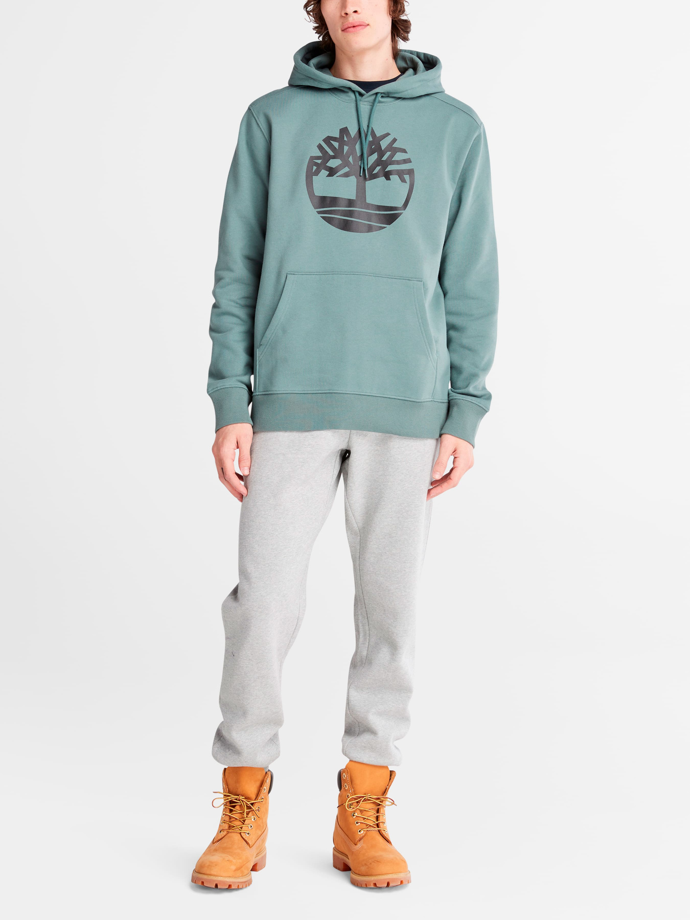 Худи и свитшоты Timberland модель A2BJHDA9 Фото