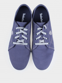 Кеды Timberland модель TB0A27KJ019 Фото