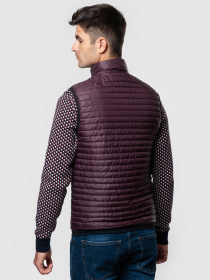 Утепленный жилет Arber модель AM08.05.30 Фото