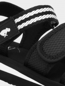 Сандалии Rocket Dog модель WATTA BLK/BLK Фото
