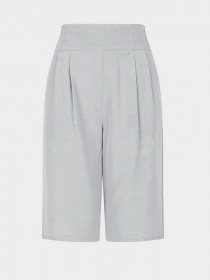 Шорты Armani Exchange модель 3LYS39-YNWMZ-1900 Фото
