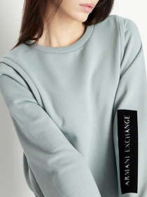Худи и свитшоты Armani Exchange модель 6LYM09-YJE5Z-1872 Фото
