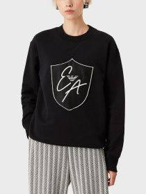 Худи и свитшоты Emporio Armani модель 8N2M9G-2JSDZ-0999 Фото