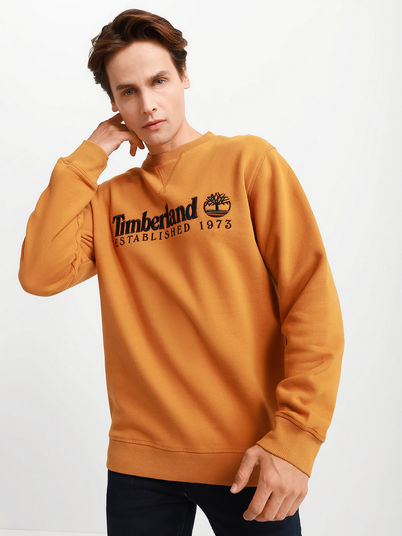 Худи и свитшоты Timberland модель A2CQZP47 Фото