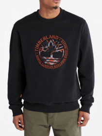 Худи и свитшоты Timberland модель A5Y4N001 Фото