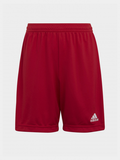 Шорты Adidas модель H57501 Фото