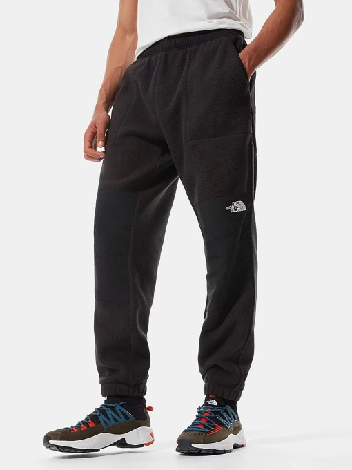 Брюки The North Face модель NF0A3Y41JK31 Фото