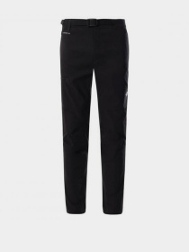Брюки The North Face модель NF0A495NJK31 Фото