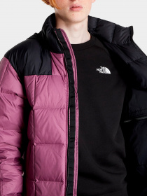 Куртки и дубленки The North Face модель NF0A4R2R0H51 Фото