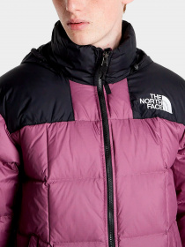 Куртки и дубленки The North Face модель NF0A4R2R0H51 Фото