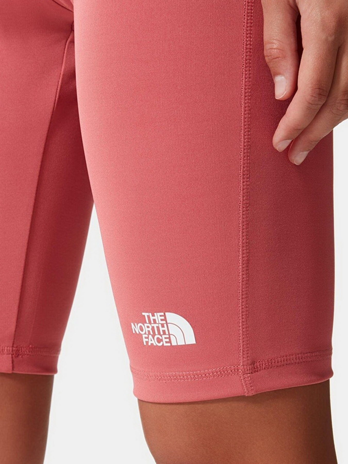 Шорты The North Face модель NF0A556E3961 Фото