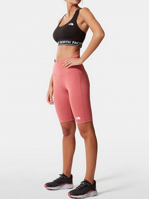 Шорты The North Face модель NF0A556E3961 Фото