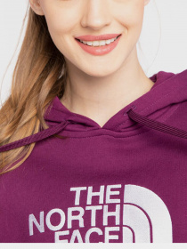 Худи и свитшоты The North Face модель NF0A55ECGP51 Фото