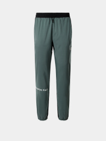 Брюки The North Face модель NF0A55HBHBS1 Фото