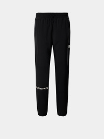 Брюки The North Face модель NF0A55HBJK31 Фото