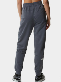 Брюки The North Face модель NF0A55HF1741 Фото