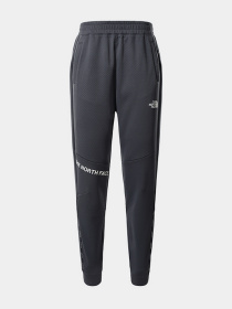 Брюки The North Face модель NF0A55HF1741 Фото