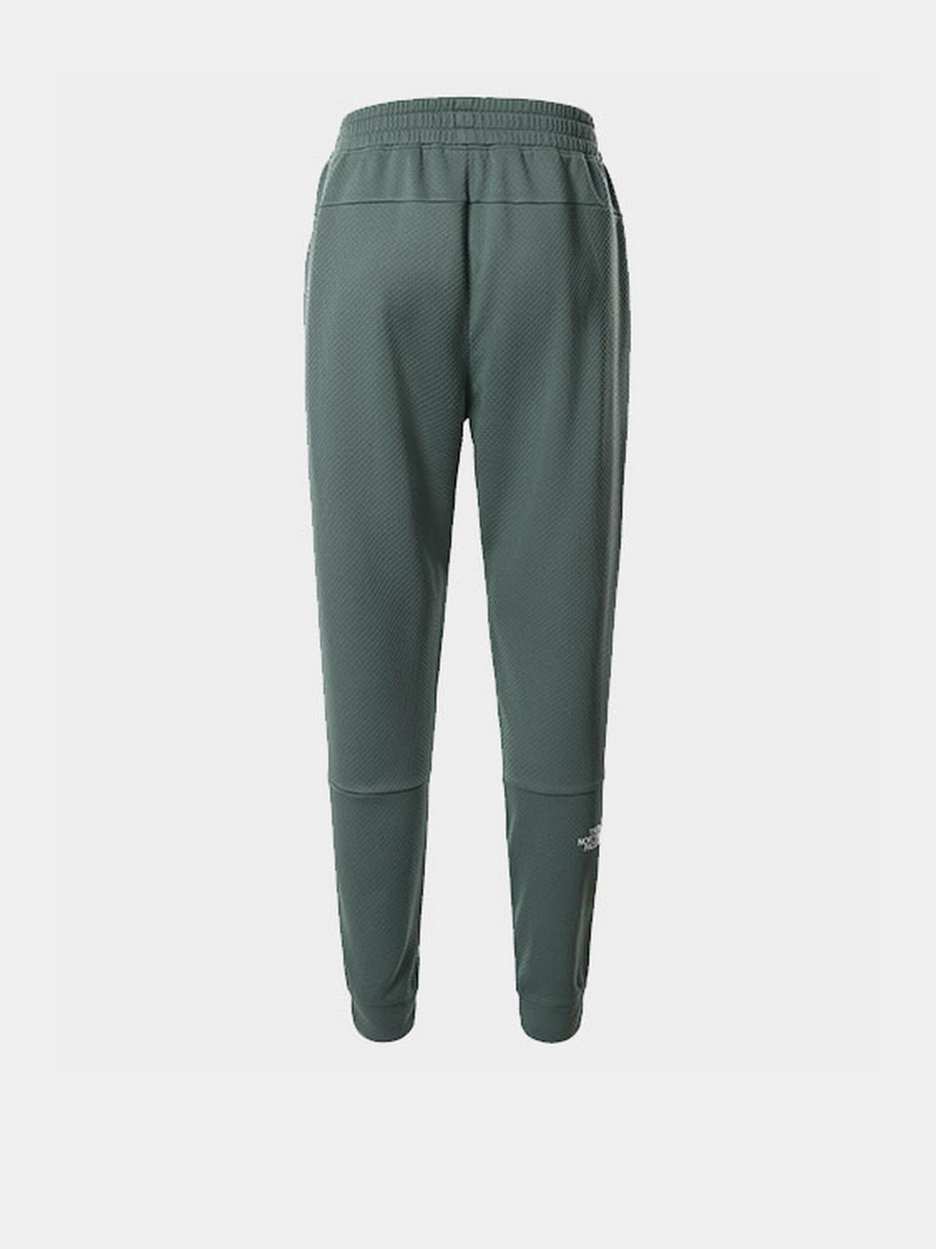 Брюки The North Face модель NF0A55HFHBS1 Фото