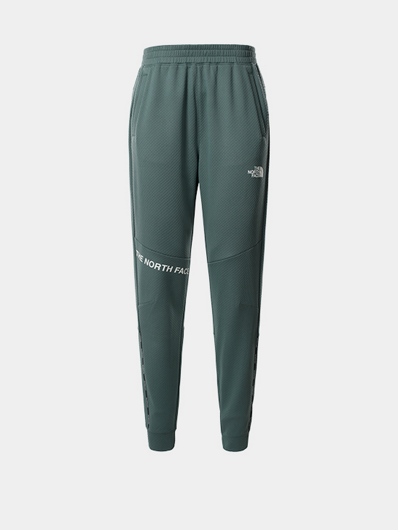 Брюки The North Face модель NF0A55HFHBS1 Фото