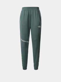 Брюки The North Face модель NF0A55HFHBS1 Фото