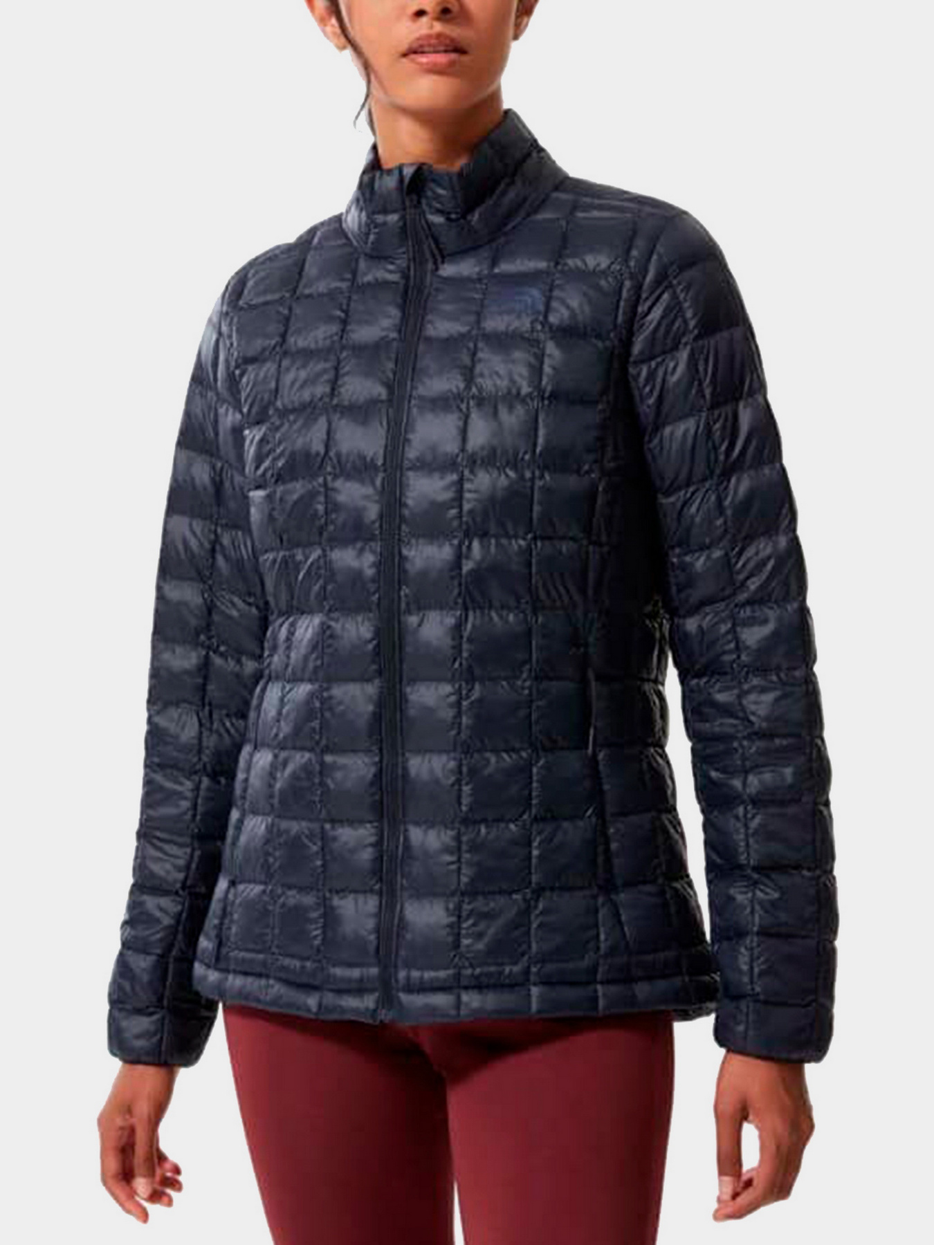 Куртки и дубленки The North Face модель NF0A5GLDRG11 Фото