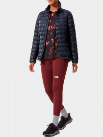 Куртки и дубленки The North Face модель NF0A5GLDRG11 Фото
