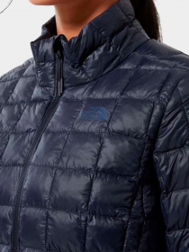 Куртки и дубленки The North Face модель NF0A5GLDRG11 Фото