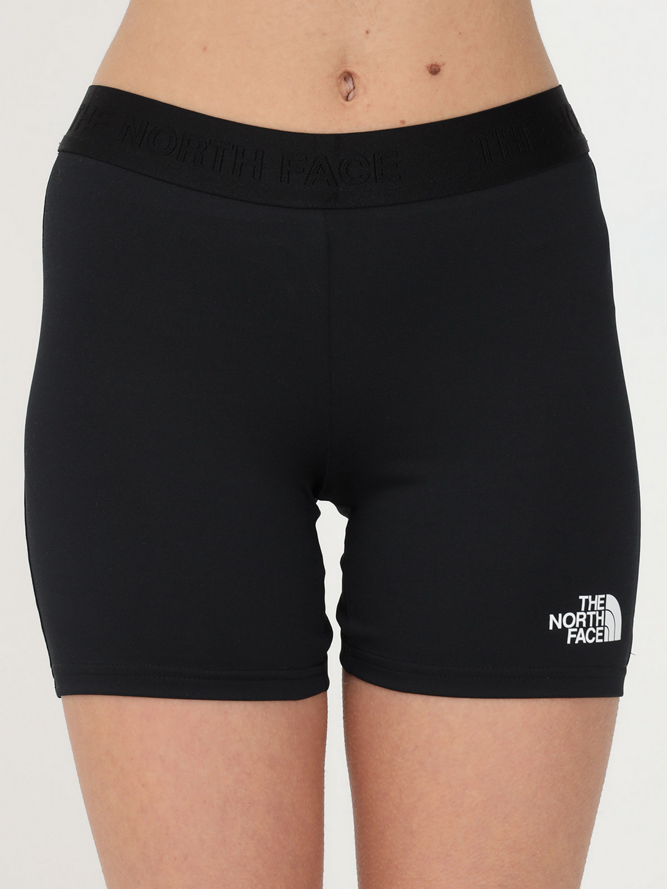 Шорты The North Face модель NF0A5IFAKS71 Фото