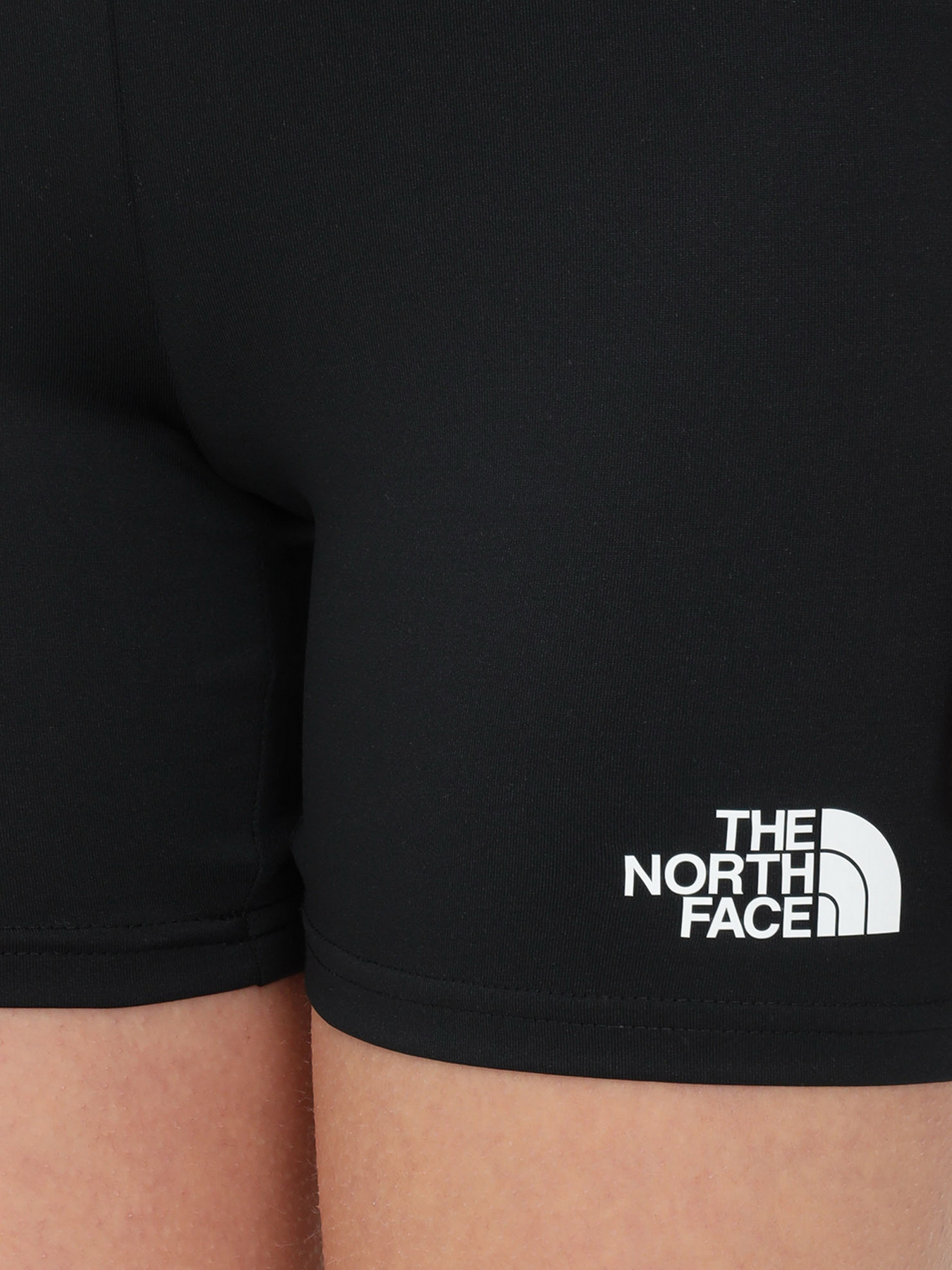Шорты The North Face модель NF0A5IFAKS71 Фото