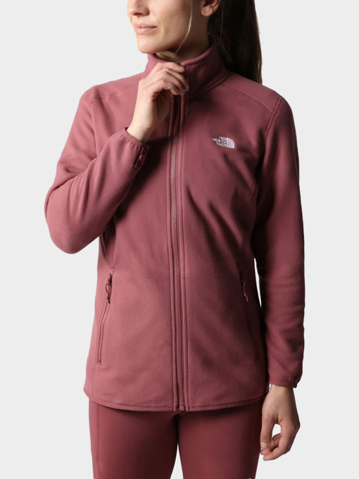 Худи и свитшоты The North Face модель NF0A5IHO6R41 Фото