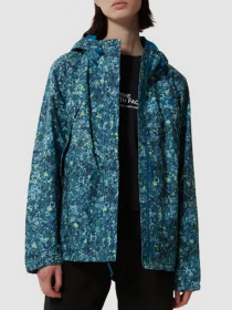 Куртки и дубленки The North Face модель NF0A7QEV5401 Фото