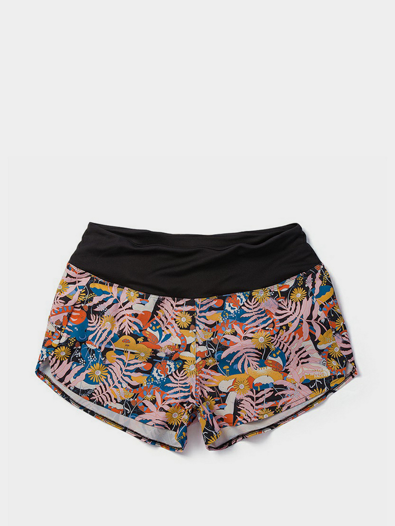 Шорты The North Face модель NF0A7QGF60P1 Фото