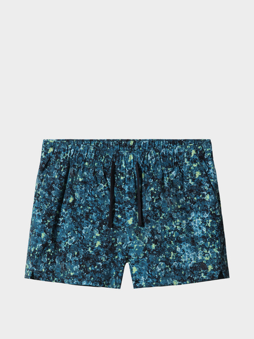 Шорты The North Face модель NF0A7QLS5401 Фото
