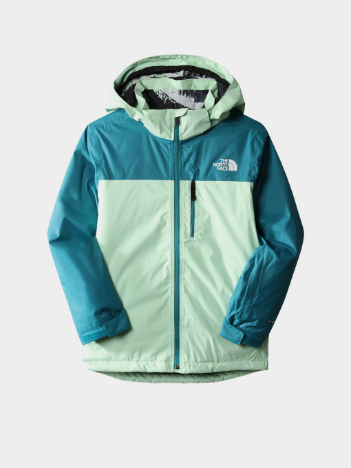 Куртки и дубленки The North Face модель NF0A7X3O6S01 Фото
