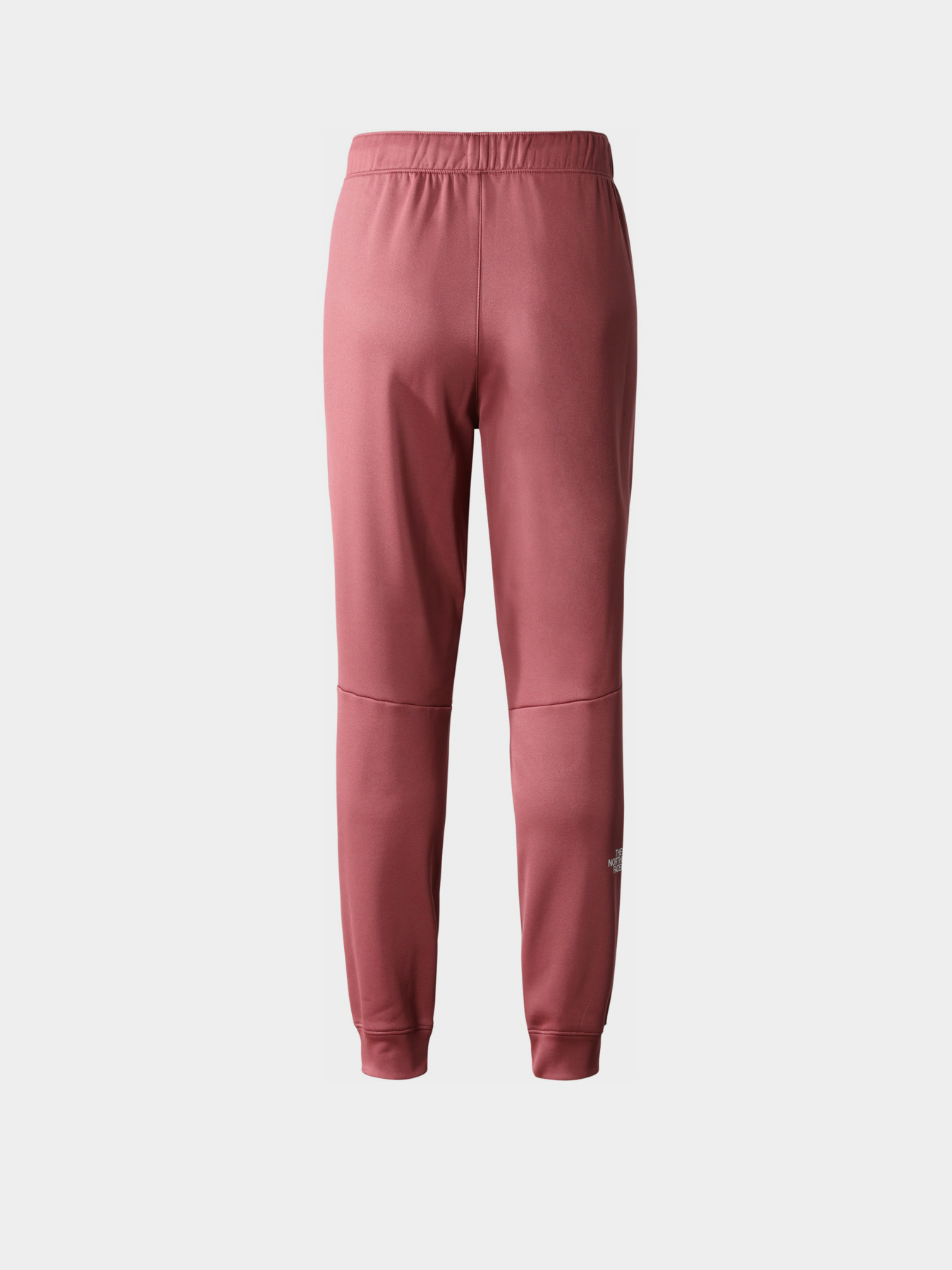 Брюки The North Face модель NF0A7ZAB6R41 Фото