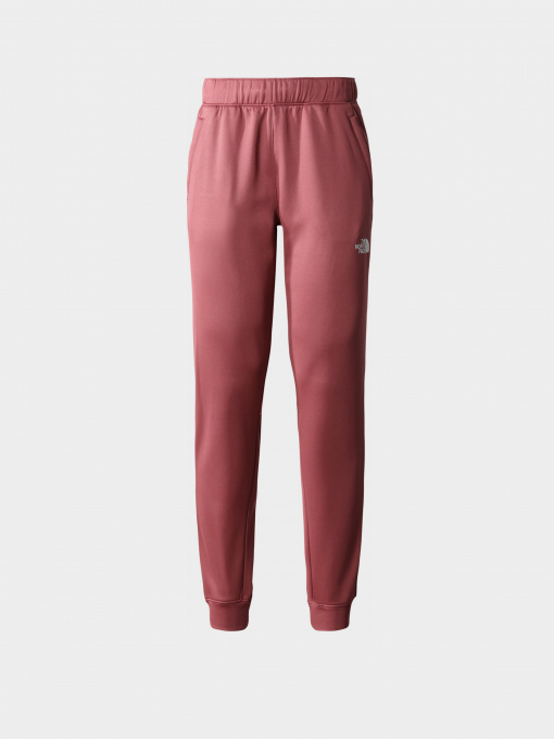 Брюки The North Face модель NF0A7ZAB6R41 Фото