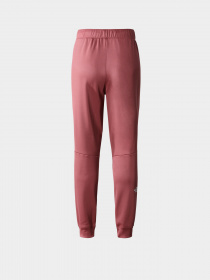 Брюки The North Face модель NF0A7ZAB6R41 Фото