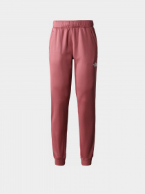 Брюки The North Face модель NF0A7ZAB6R41 Фото